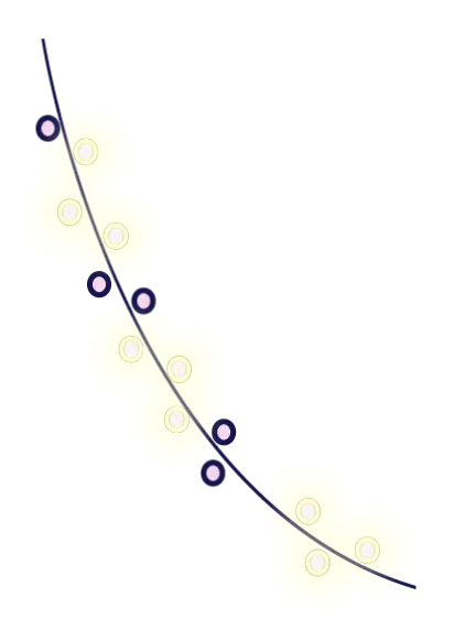 twinkling strand of lights